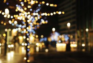 Private Holiday Lights Tours